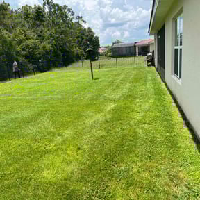 yard care by Timothy Brown reviewed on November 20, 2025