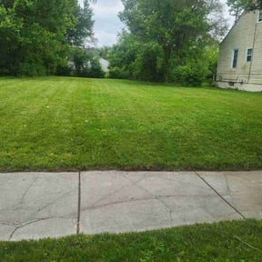 turf maintenance by Freeman Yardworks reviewed on October 5, 2023