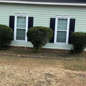 Bush Trimming by SC creative landscape reviewed on November 22, 2025