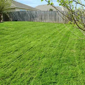 lawn care services by GAMA Lawn Care Services reviewed on April 20, 2024