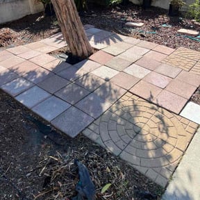 Leaf Removal by The lawn Guy reviewed on November 18, 2025