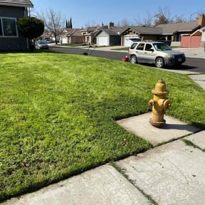 turf maintenance by YPMI Services llc reviewed on August 27, 2019