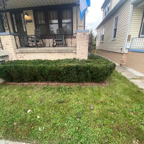 Bush Trimming by Cox and son lawn care reviewed on August 18, 2025
