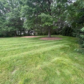 yard work by Nextdoor Lawn Services LLC reviewed on August 21, 2025