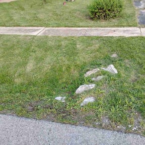 Bush Trimming by K &amp; H Property Management LLC reviewed on October 22, 2025