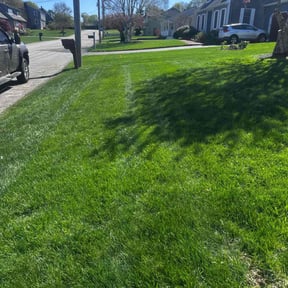 lawn maintenance by Jmds property management reviewed on August 16, 2025