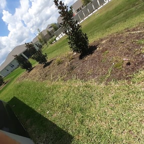 Flower Bed Weeding by GrassMate Lawn Care reviewed on August 20, 2025