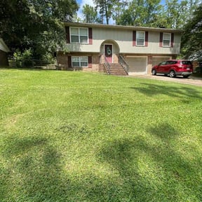 yard service by Dellers lawn care and repair  reviewed on August 20, 2025