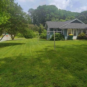 yard maintenance by Improved lawns reviewed on August 21, 2025