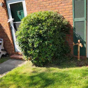 Bush Trimming by GreenLeaf Lawn Care Inc. reviewed on August 15, 2025
