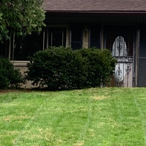 Bush Trimming by Manny los Lawn Care Services reviewed on December 10, 2024