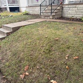 Leaf Removal by D n S lawn care reviewed on September 2, 2026