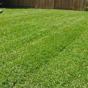 landscaping by Chance Landscaping LLC reviewed on August 15, 2025