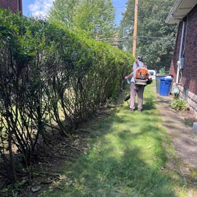 Bush Trimming by Alamow YardCutters reviewed on August 16, 2025