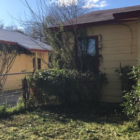 Bush Trimming by ABC Turf Management reviewed on August 18, 2025