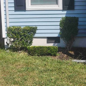 Bush Trimming by Field of Dreams Landscaping reviewed on October 19, 2025