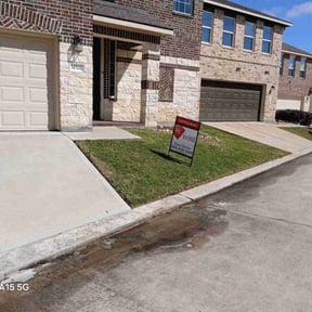 yard service by Mow&More Landscape and Trees reviewed on August 19, 2025