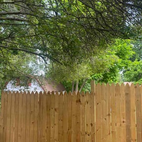 Bush Trimming by Hoosier Heroes reviewed on August 20, 2025