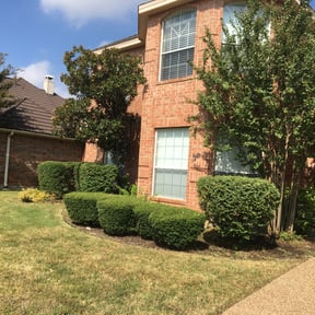 Bush Trimming by Jeremy's Lawn Service reviewed on August 21, 2025