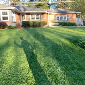 lawn care by Phillip Landscape reviewed on May 8, 2025