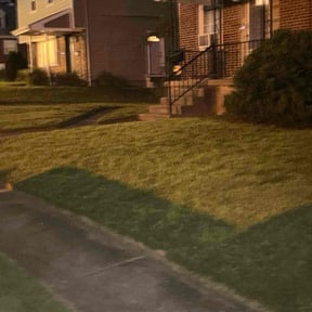 lawn care by Kuttengrass356 llc reviewed on August 1, 2023