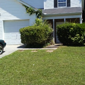 Bush Trimming by L&P.inc reviewed on August 17, 2025