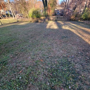 Leaf Removal by Lilly&#039;s mowing services reviewed on September 14, 2025