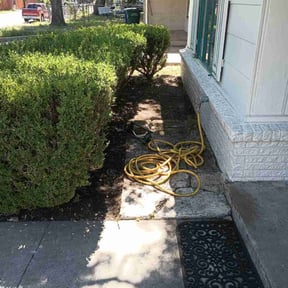 Flower Bed Weeding by Chi services reviewed on August 15, 2025