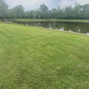 turf maintenance by K & S Lawn Care reviewed on March 19, 2024