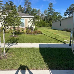 landscape maintenance by Revamp reviewed on January 21, 2026