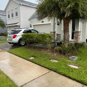 Bush Trimming by Fiechtner Landscape Services reviewed on August 16, 2025