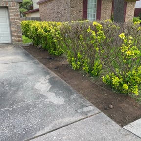 Bush Trimming by amazing r&r landscaping reviewed on August 17, 2025