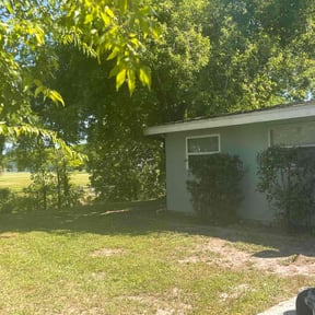 Bush Trimming by She-power reviewed on October 5, 2024