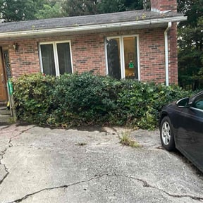 Bush Trimming by R&amp;B Lawn care 470-219-3185. reviewed on December 17, 2025