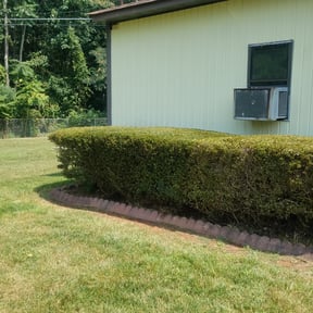 Bush Trimming by NATIONALYARDWORK.COM reviewed on August 17, 2025