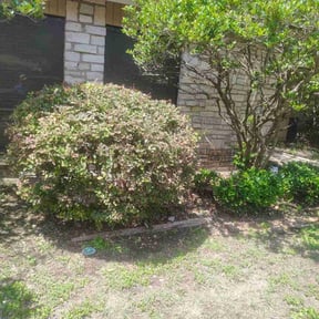 Bush Trimming by Gomez landscaping reviewed on October 23, 2025