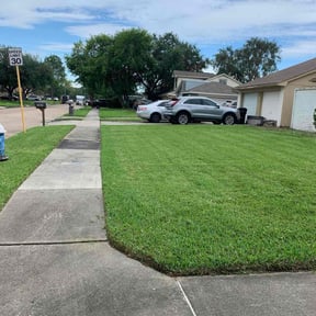 yard work by Swiftcutz reviewed on August 13, 2025