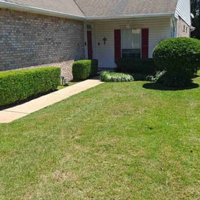 Bush Trimming by All Electric Lawn Care reviewed on August 15, 2025