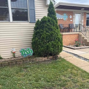 Bush Trimming by Kickin' Your Grass reviewed on December 4, 2025