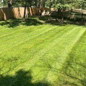 landscaping services by Tim Kirkpatrick reviewed on November 22, 2025