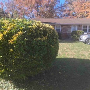 Bush Trimming by Quality Pro. Construction reviewed on November 21, 2025