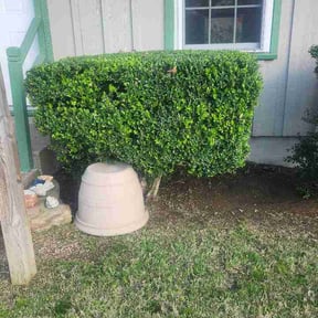 Bush Trimming by 4M Premier Landscape reviewed on April 29, 2026
