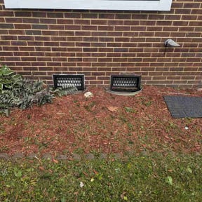 Flower Bed Weeding by Pro Lawns 320 reviewed on May 20, 2026