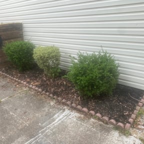 Flower Bed Weeding by Turbo Lawn Care reviewed on August 16, 2025