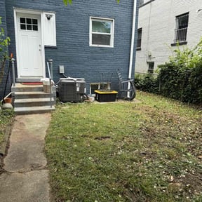 Leaf Removal by WhyExperts LLC reviewed on September 18, 2025