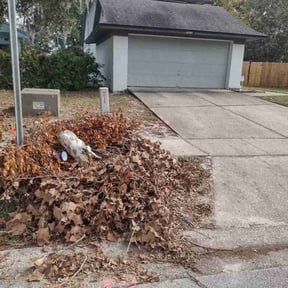 Bush Trimming by L&M landscaping reviewed on August 19, 2025
