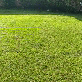 landscape maintenance by C&J Lawn Care reviewed on August 19, 2025