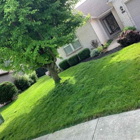 yard care by S&K Lawn care reviewed on August 18, 2025