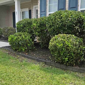 Bush Trimming by Johnson Lawn Care reviewed on August 18, 2025