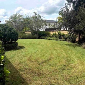 Bush Trimming by Around The Way lawn care reviewed on November 10, 2025